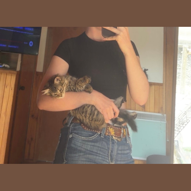 Photo of Gizmo