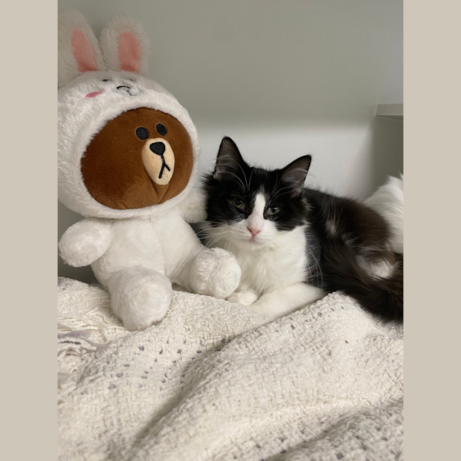 Photo of Tiffany