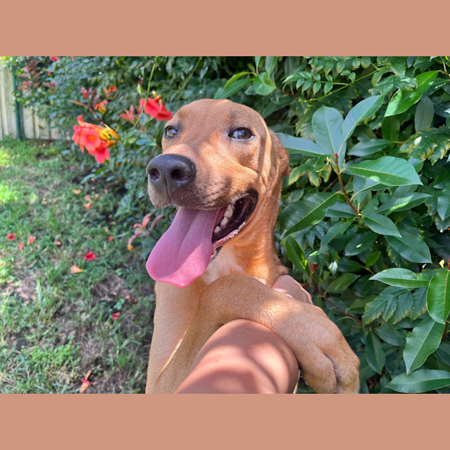 Photo of Max