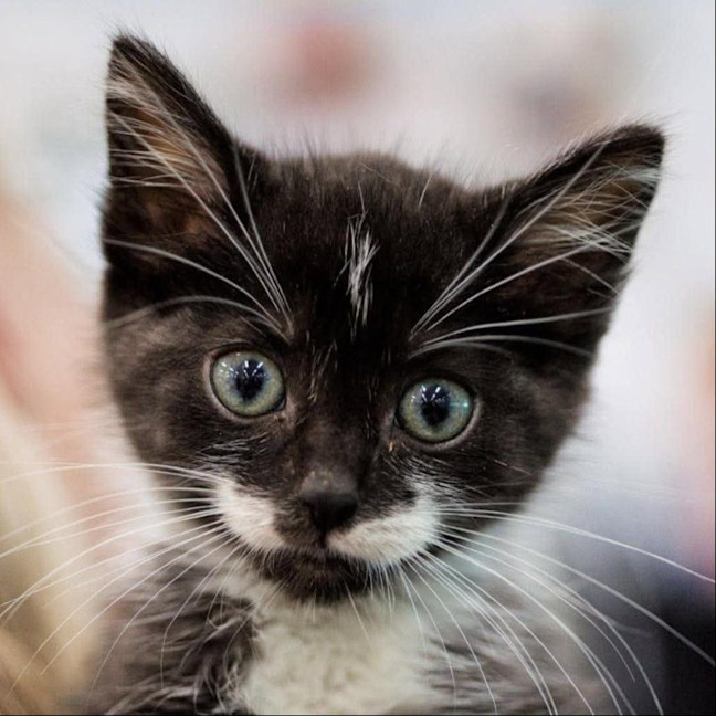 Photo of Larry