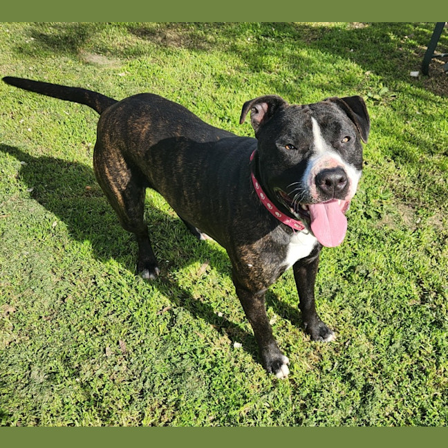 Photo of Hercules   63887