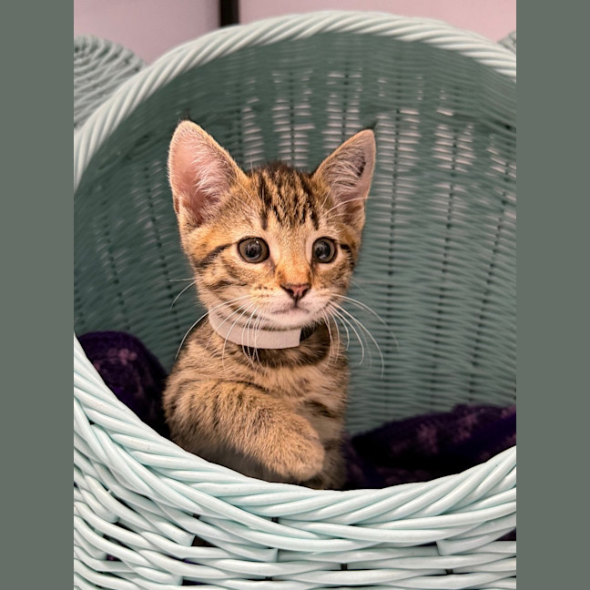 Photo of Roo