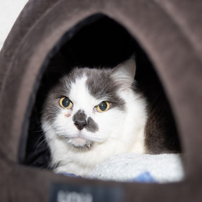 Photo of Larry