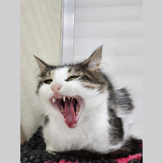 Photo of 🕶️ Ruth 6779 🕶️