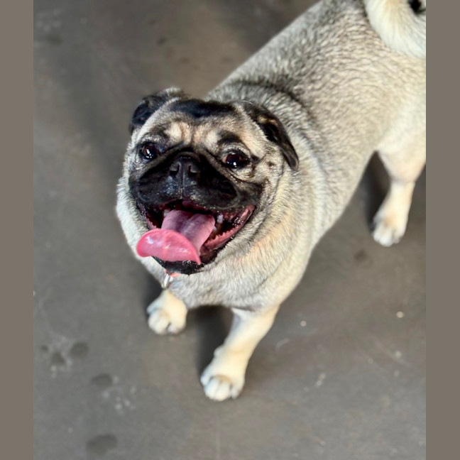 Photo of Betty