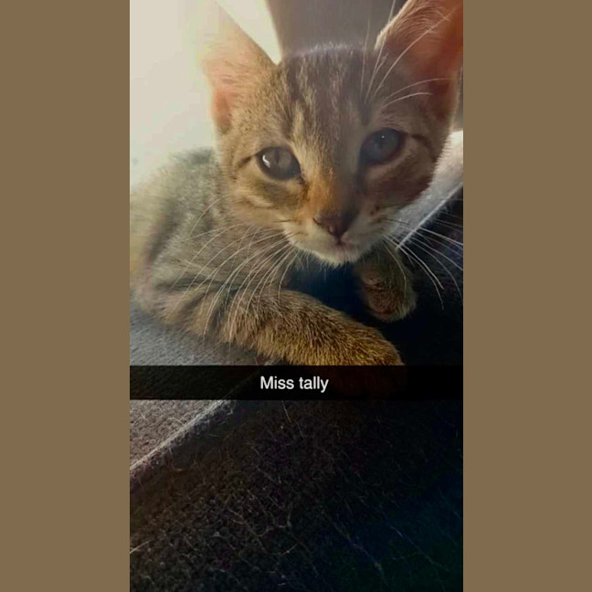 Photo of Tally