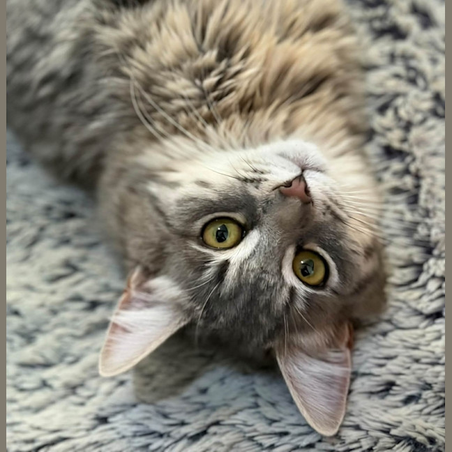 Photo of Blair