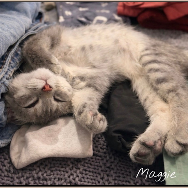 Photo of Maggie 🌈⭐️