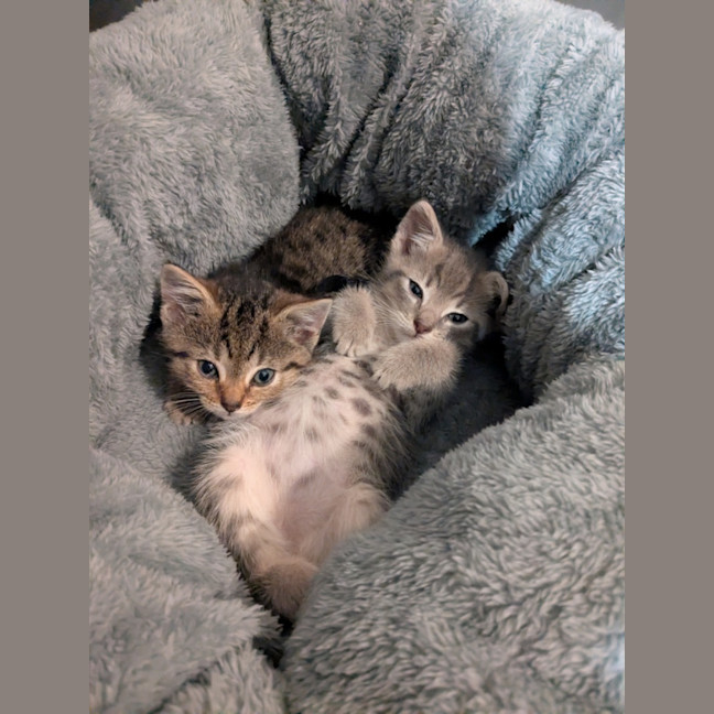 Photo of Juliet & Storm
