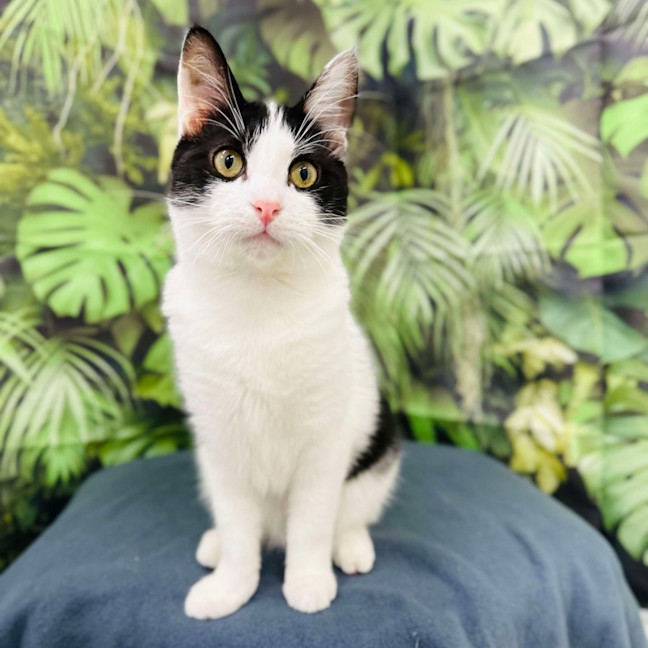 Photo of Asha   Located In Preston