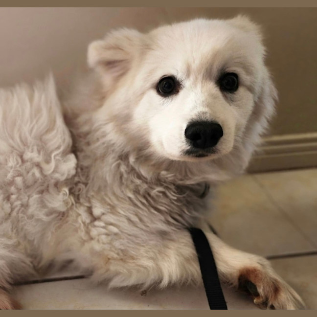 Photo of Keiko