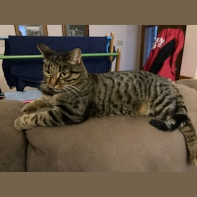 Photo of Tilly