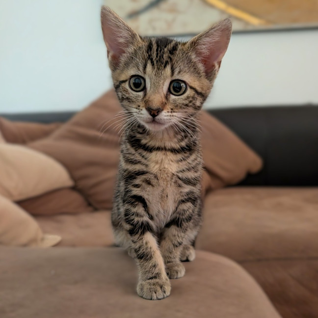 Photo of Clancy