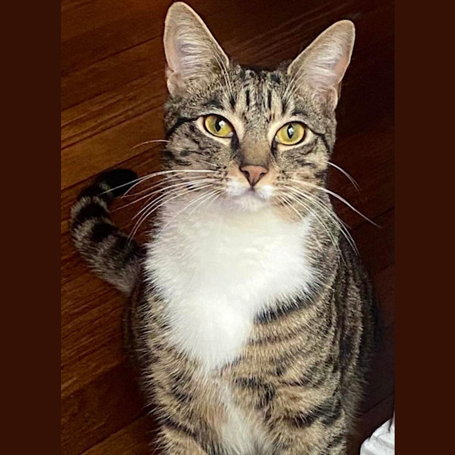 Photo of Bosco