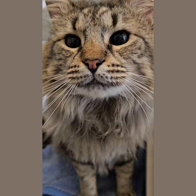 Photo of Leon
