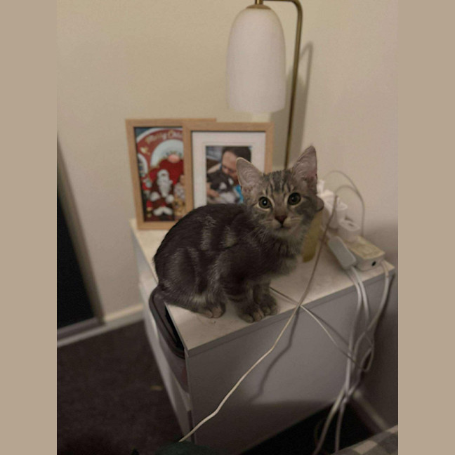 Photo of Max