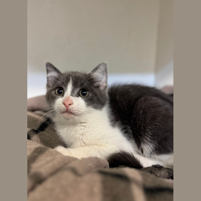 Photo of Theodore 