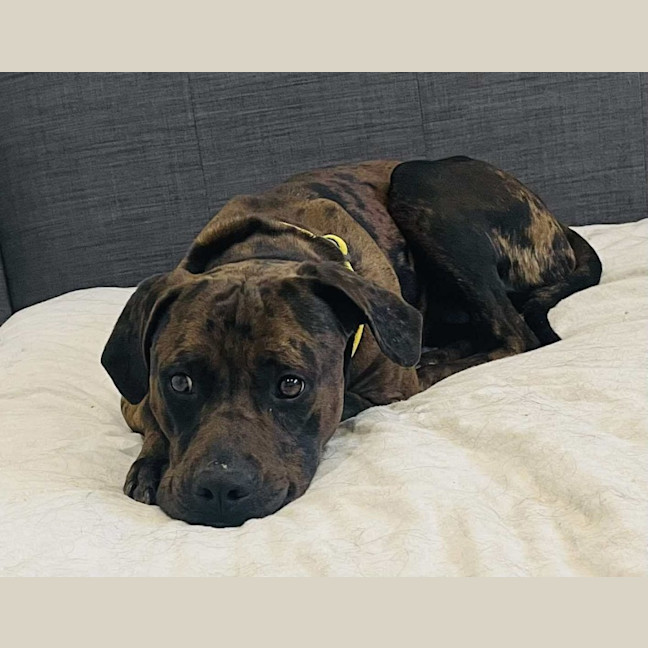 Photo of Uncle Fester