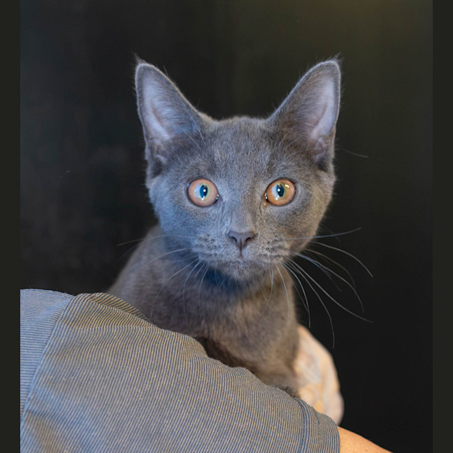 Photo of Willowmina