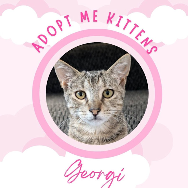 Photo of Georgi