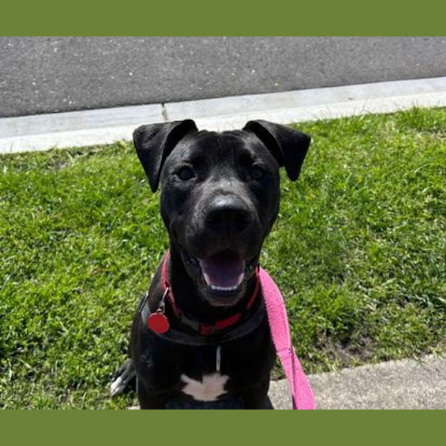 Photo of Abbie