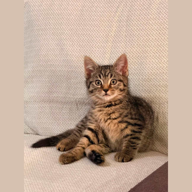 Photo of Polly