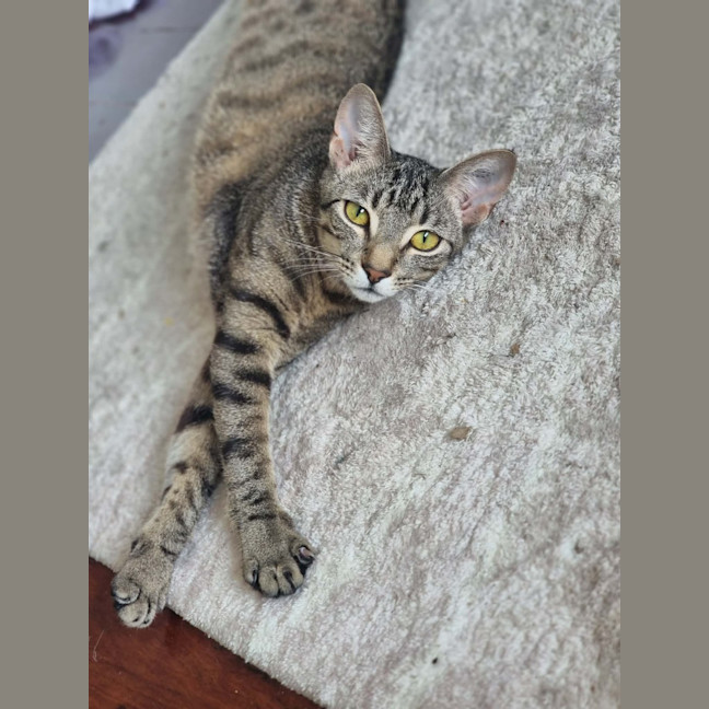 Photo of Nora
