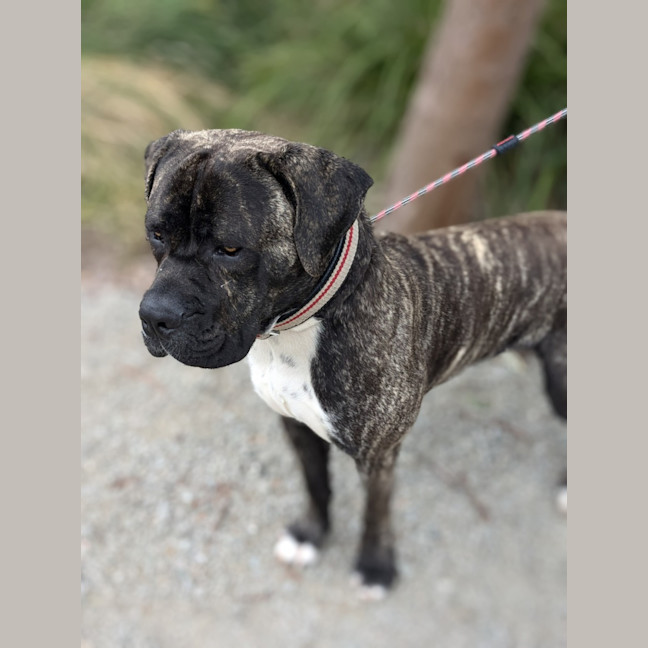 Photo of 🥛 Eggnog 5520 🥛