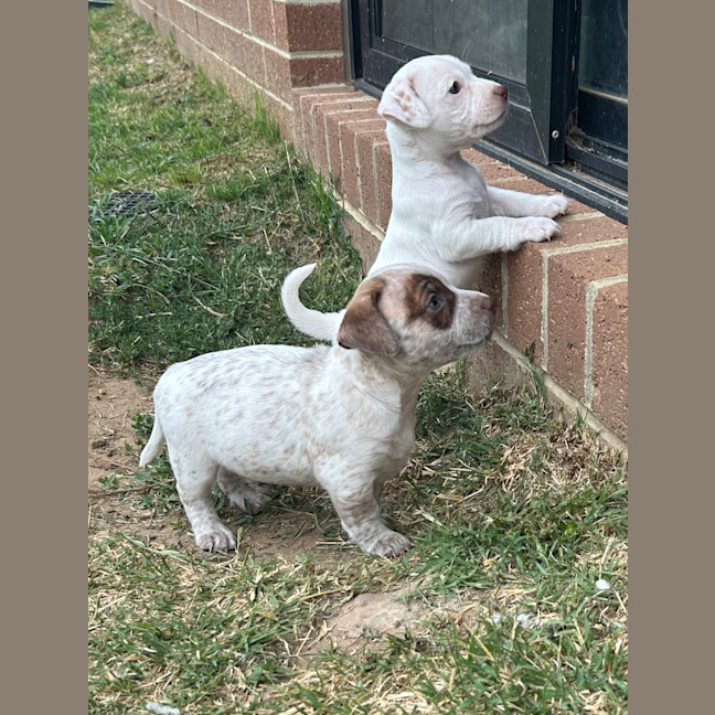 Photo of Gyn (Was Luna)