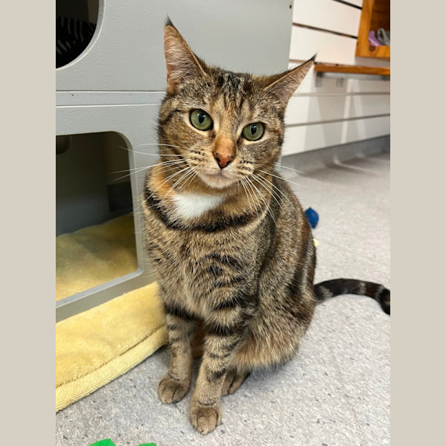 Photo of Stormi And Yeow Yeow