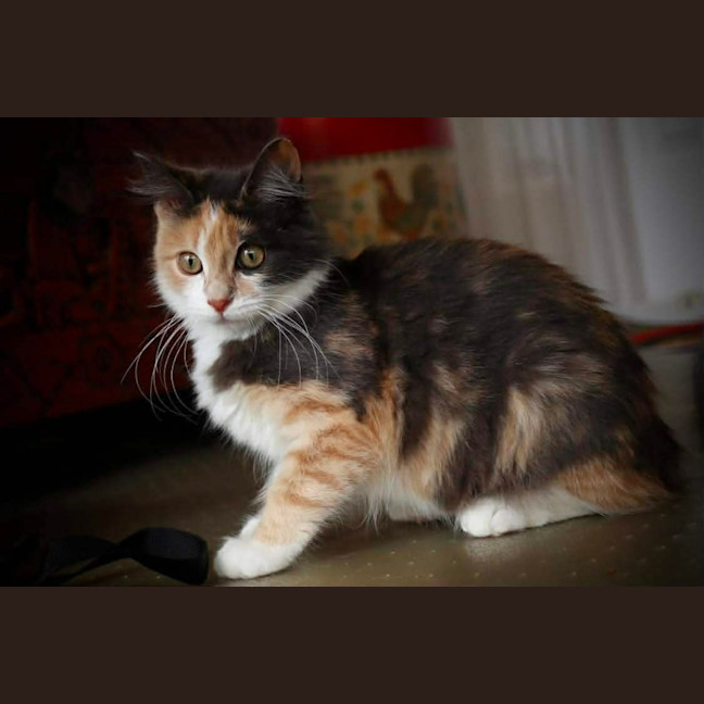 Photo of Mary 