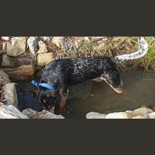 Photo of Wesley’s Theory