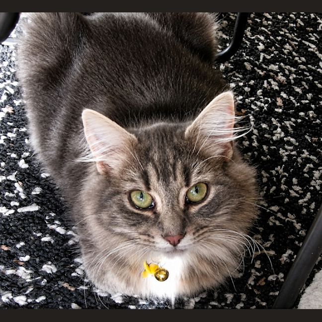 Photo of Matilda