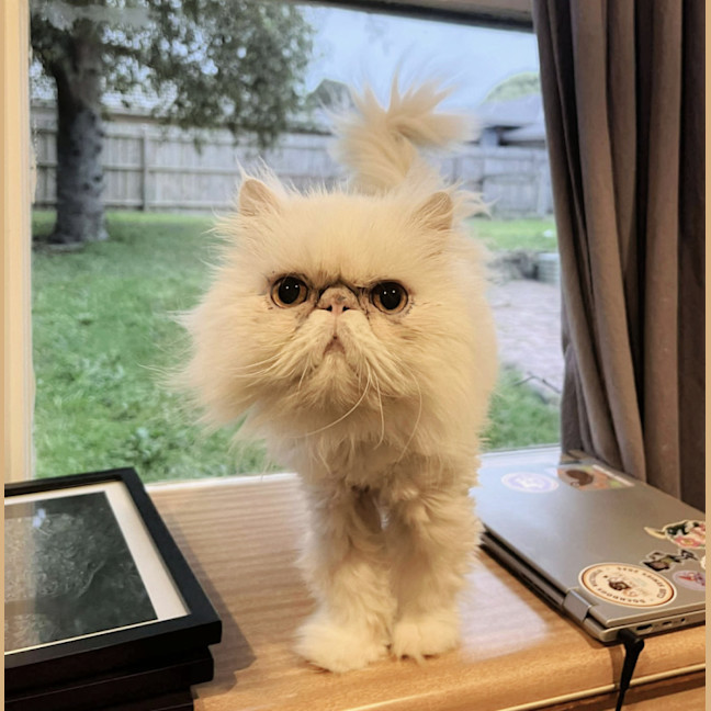 Photo of ❄Aspen❄