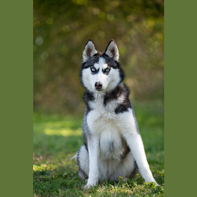 Photo of Elsa