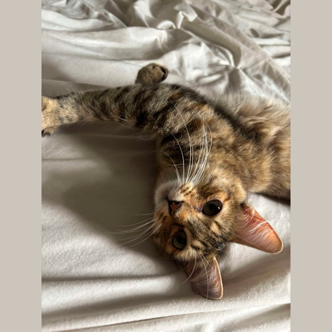 Photo of Macha