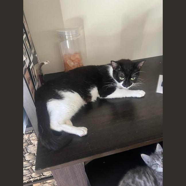 Photo of Tilly
