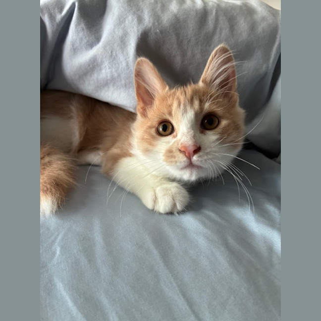 Photo of Momo