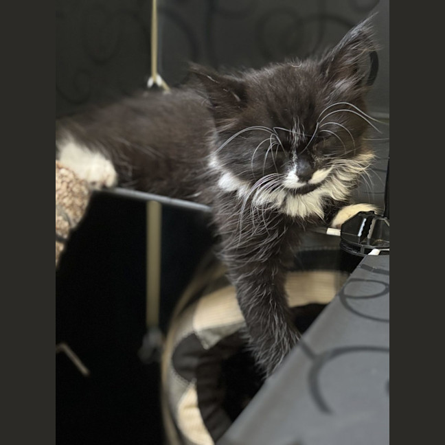 Photo of Harry  Reviewing Applications