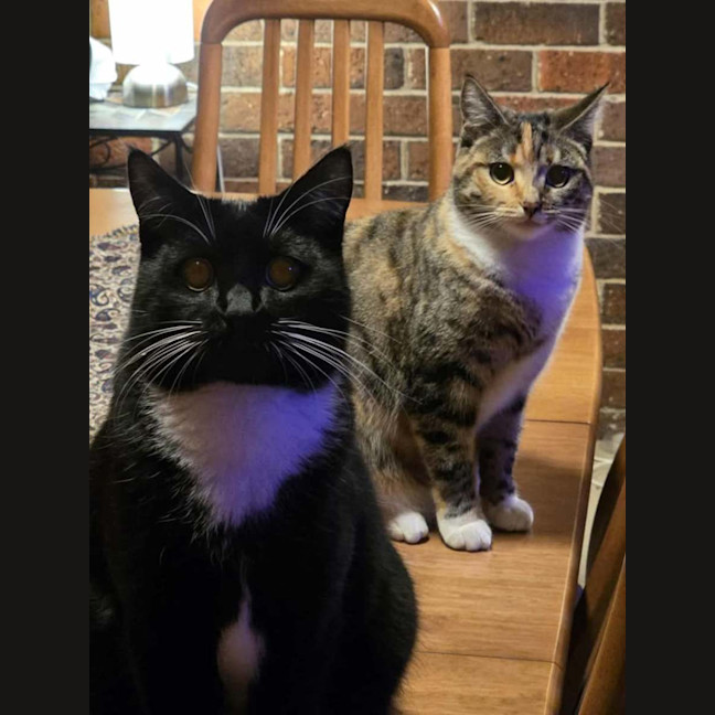 Photo of Lotus & Sage