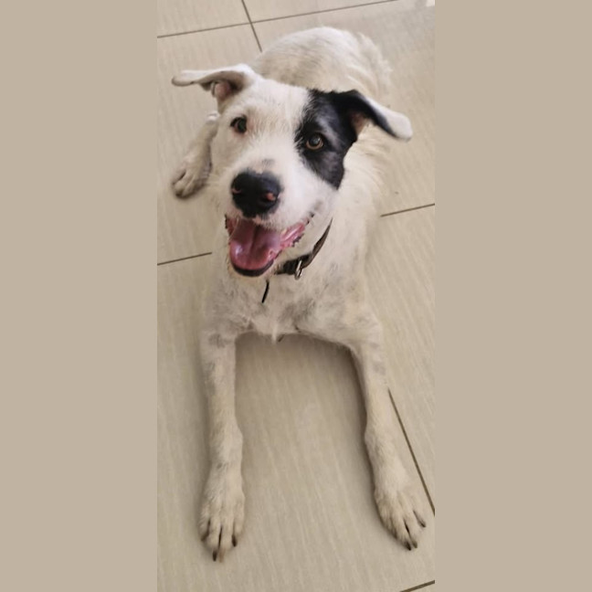 Photo of Yves Saint Laurent