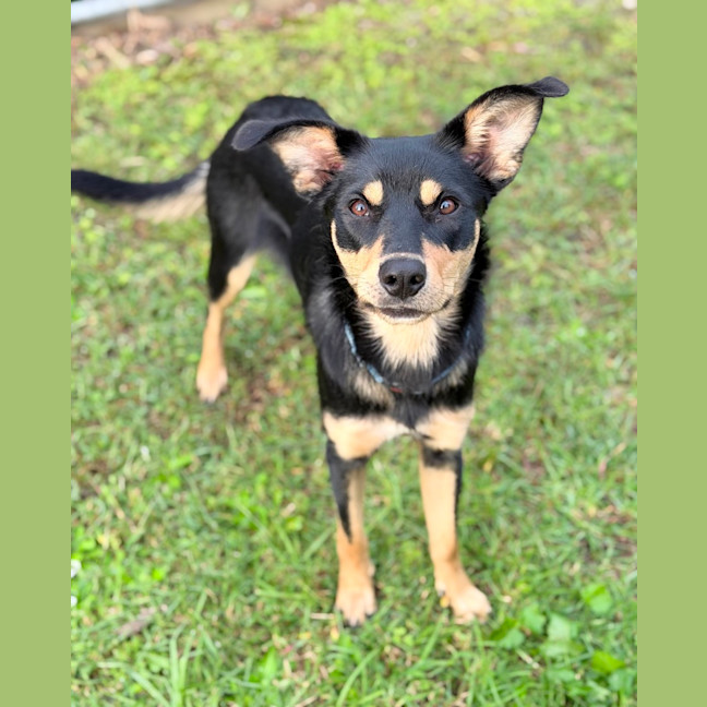 Photo of Kaia