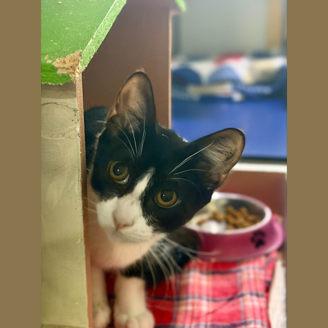 Photo of Tony