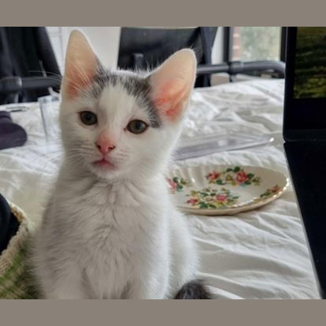 Photo of Twyla
