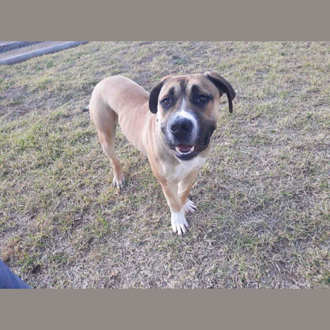 Photo of Archer Tamblyn