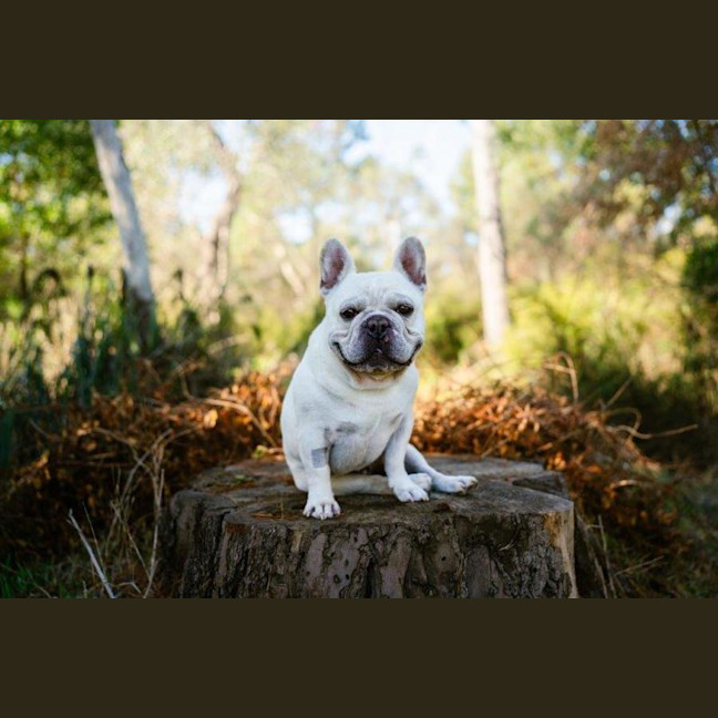 Photo of Bee O’cleary