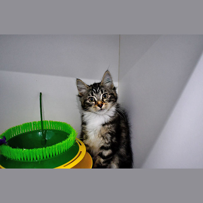 Photo of Vanya