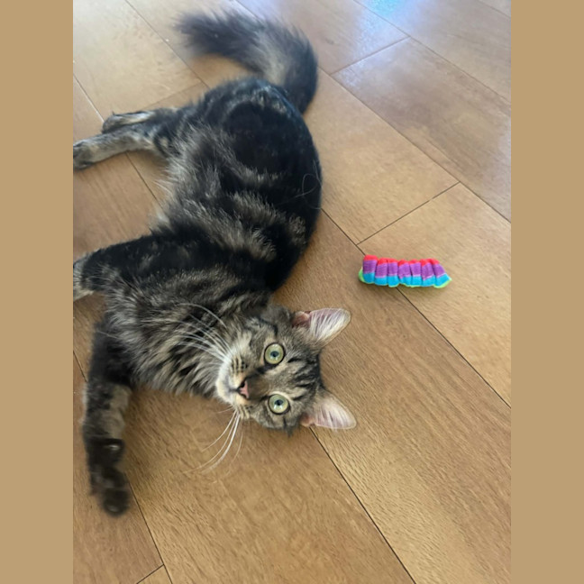 Photo of Thomas