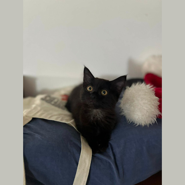 Photo of Chloe