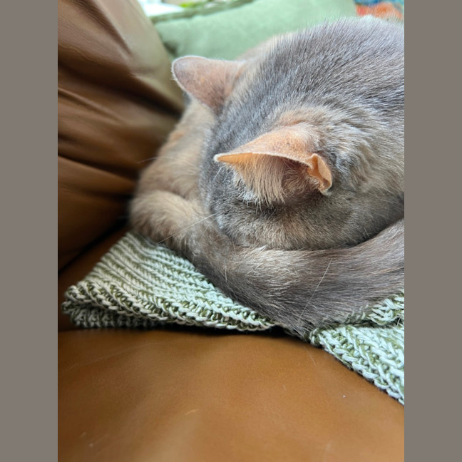 Photo of April